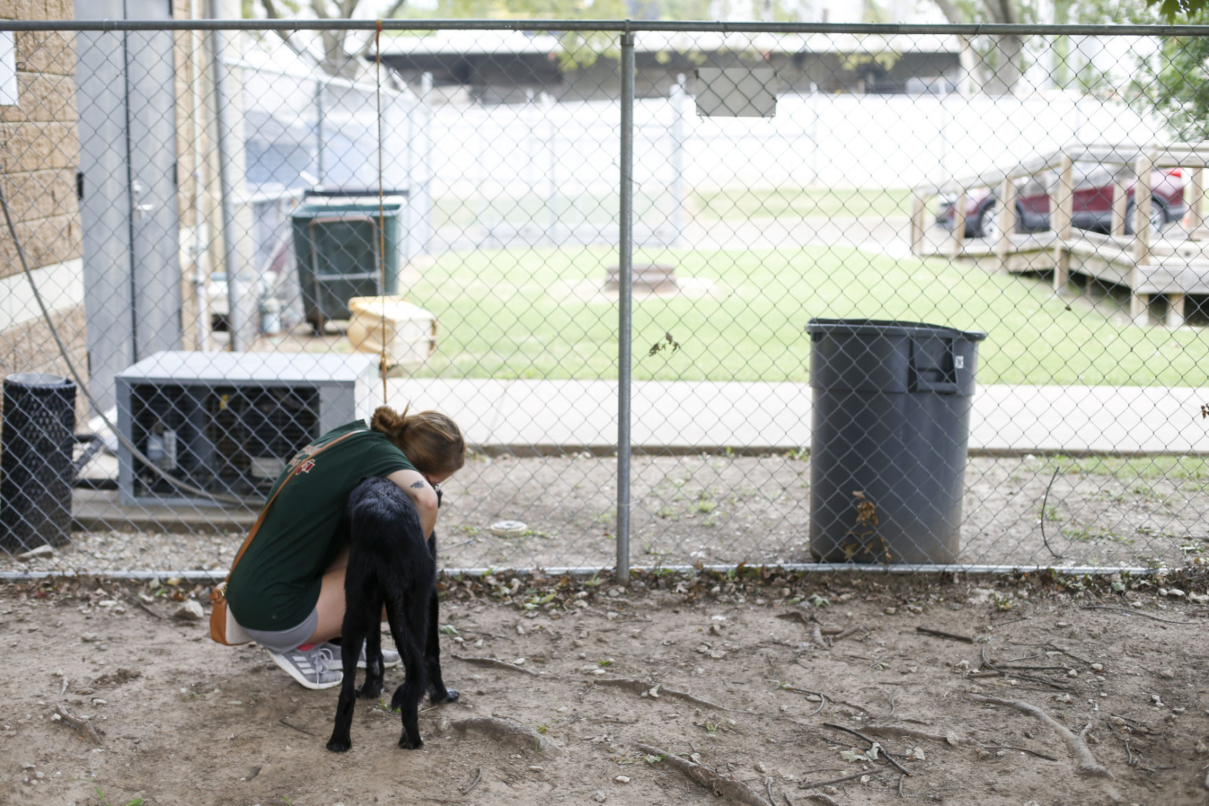 Clear the Shelter